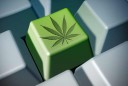 ecommerce-de-cannabis